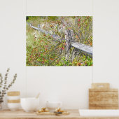 Fence & Poison Ivy IBSP NJ Poster (Keuken)