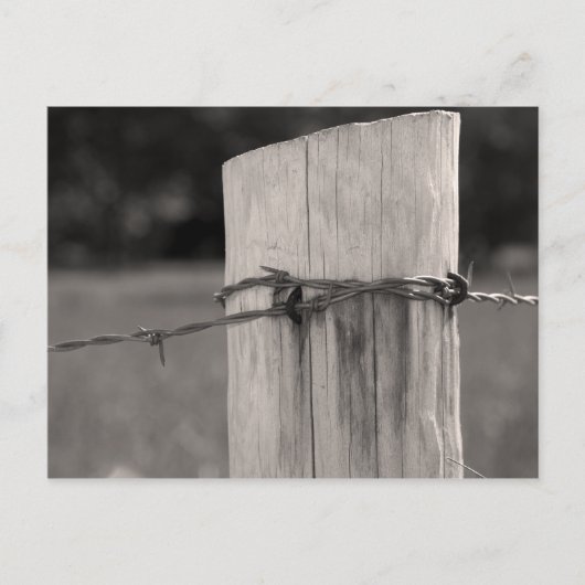 Fence Post en Barbed Wire Briefkaart (Voorkant)