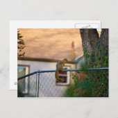 Fence-squirrel/Eichhörnchen am Zaun Briefkaart (Voorkant / Achterkant)