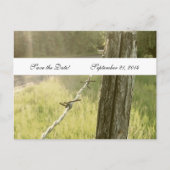 Fencepost Barbed Wire Rustic Save the Date Aankondigingskaart (Voorkant)