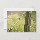 Fencepost, Barbed Wire Rustique rsvp avec envelopp (Dos)