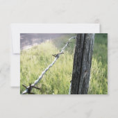 Fencepost, Barbed Wire Rustique rsvp avec envelopp (Dos)