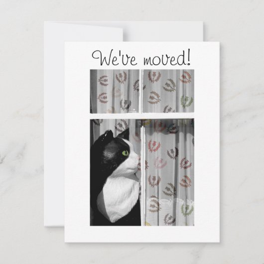 Fenêtre Cat Nouvelle carte de Faire-part (Devant)