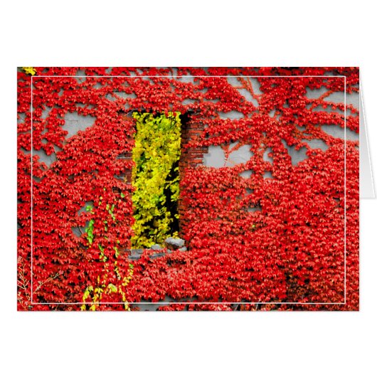 Fenêtre de Bannerman (Devant horizontal)