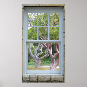 Fenêtre Vue Cadre troncs d'arbre en courbe Poster