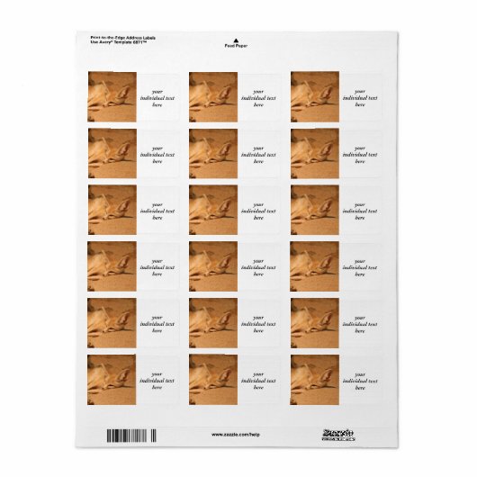 Fennec Fox Etiket (Full Sheet)