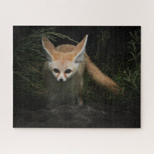 Fennec Fox Legpuzzel