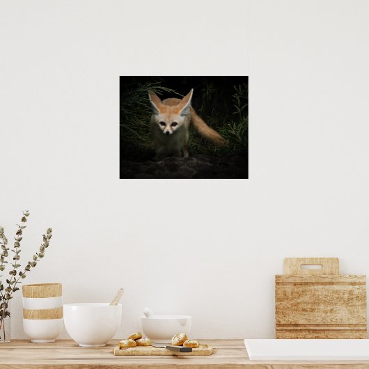 Fennec Fox Poster (Keuken)