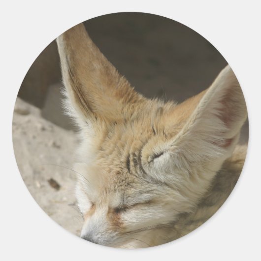 Fennec Fox Sticker (Voorkant)