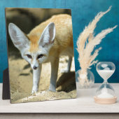 Fennekvos Fotoplaat (Zijkant)