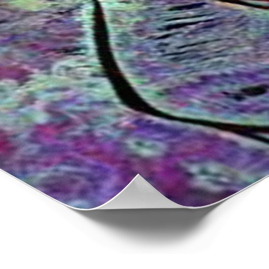 fenom phen satellietbeelden poster (Hoek)