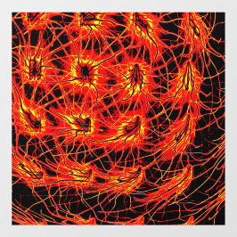 Fensteraufkleber Raamsticker