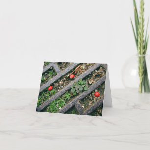 Fer Grate & Berries - Carte pour notes