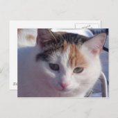 Feral Beauty Briefkaart (Voorkant / Achterkant)