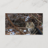 Feral Cat Colony Carte de visite de carrière (Dos)