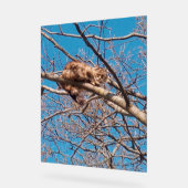 Feral Cat Lucy in Tree Cat Lover's Acryl Bord (Hoek)