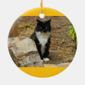 Feral Cat Momma Keramisch Ornament (Achterkant)