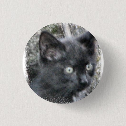 Feral kitten Small-knop Ronde Button 3,2 Cm (Voorkant)