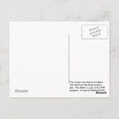 Feral Kittens à Forest Den Carte postale (Dos)