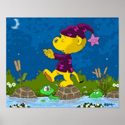 Ferald Sleepwalk-on Pond Poster (Voorkant)