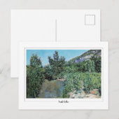 Ferdinand Hodler #65 - Carte postale d'art fin (Devant / Derrière)
