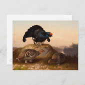 Ferdinand von Wright Blackgrouses CC0822 Briefkaart (Voorkant / Achterkant)