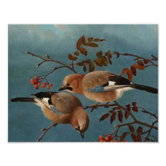 Ferdinand von Wright - Jays Foto Afdruk (Voorkant)