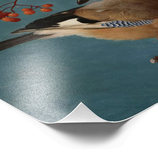 Ferdinand von Wright - Jays Foto Afdruk (Hoek)