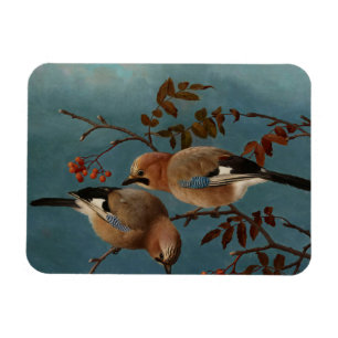 Ferdinand von Wright - Jays Magneet