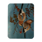 Ferdinand von Wright - Jays Magneet (Verticaal)