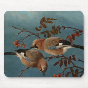 Ferdinand von Wright - Jays Muismat