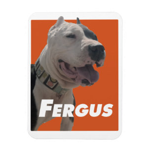 Fergus de Barbers Dog Magneet