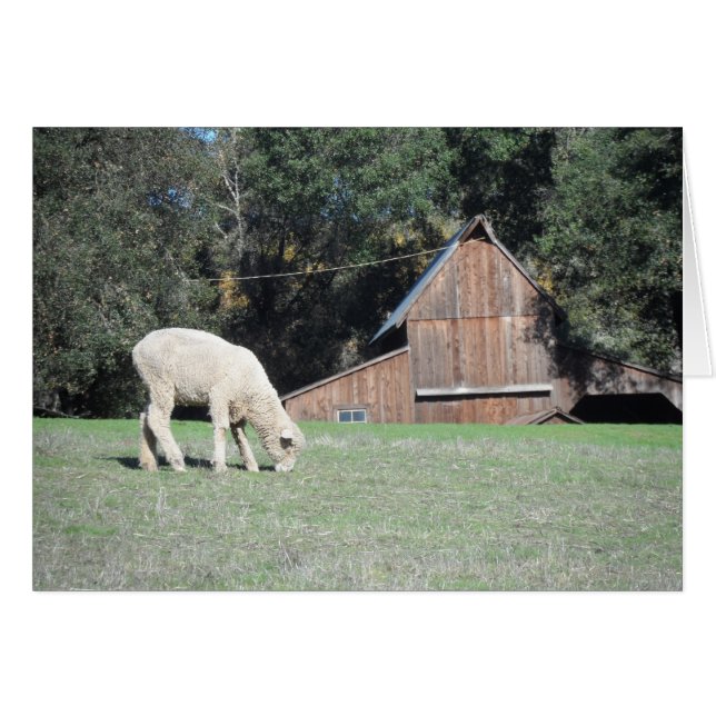 Ferme de Californie (Devant horizontal)