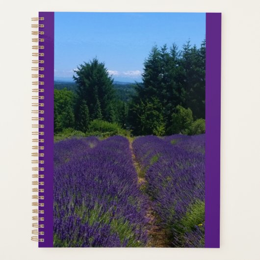 Ferme de Lavender (Devant)