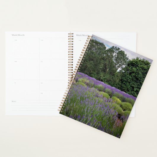 Ferme de Lavender (Devant avec enveloppe)