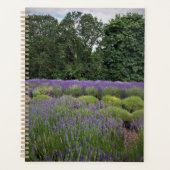 Ferme de Lavender (Devant)