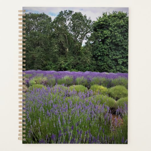Ferme de Lavender (Devant)