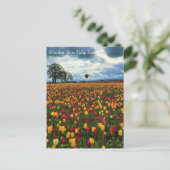 Ferme de Tulip en Oregon Carte postale (Debout devant)