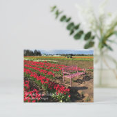 Ferme de Tulip en Oregon Carte postale (Debout devant)