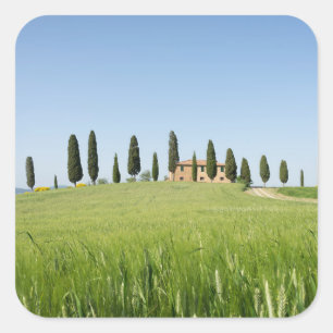 Ferme en Toscane avec autocollant cyprès