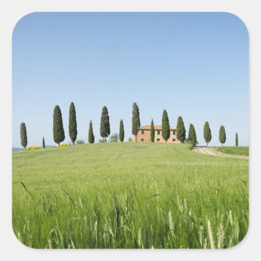 Ferme en Toscane avec autocollant cyprès (Devant)