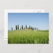 Ferme en Toscane avec carte postale cyprès (Devant / Derrière)