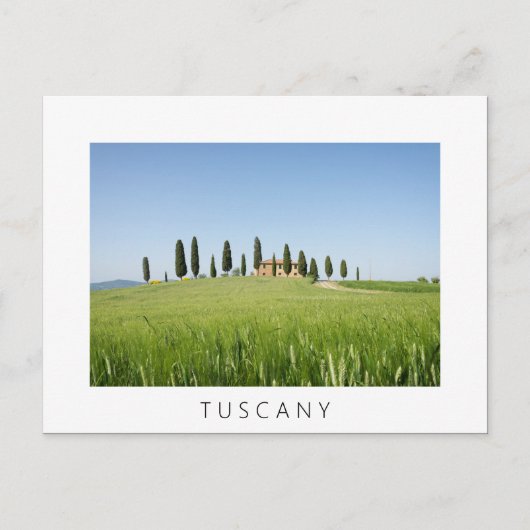 Ferme en Toscane avec cyprès carte postale blanche (Devant)