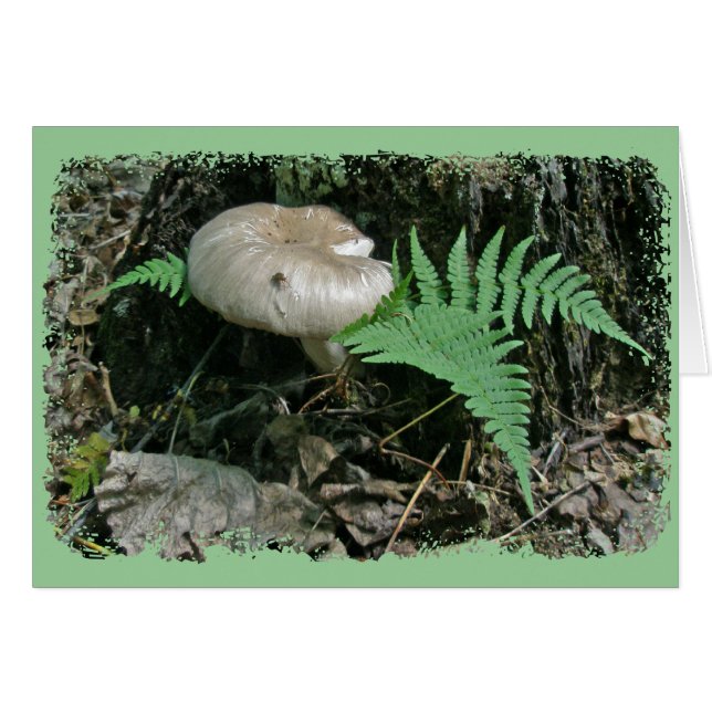 Ferme et champignons à Stump Coordonner les élémen (Devant Horizontal)
