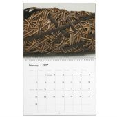 Fermer, calendrier des membres NBO n° 2 (Feb 2027)