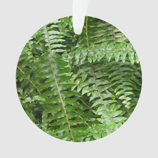 Fermer Fronds I Green Nature (devant)