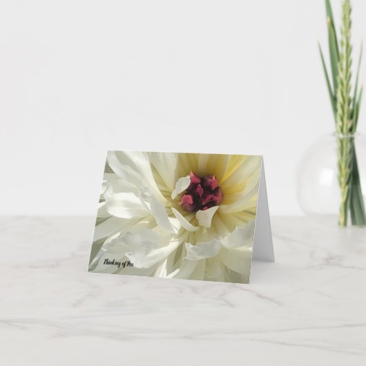 Fermer la carte de sympathie crémeuse White Peony (Devant)