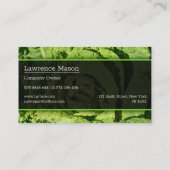 Fermer la photo d'une laitue verte - Carte de visi (Dos)