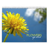 Fermer le calendrier (Protection)