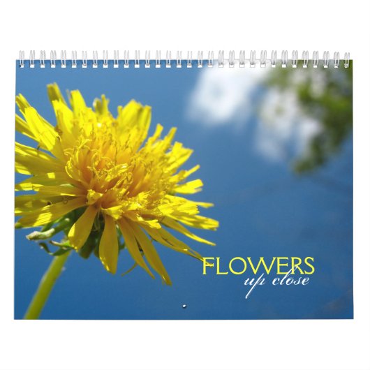 Fermer le calendrier (Protection)